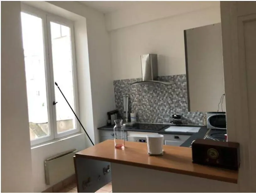 Petit Cocon En Centre Ville Lyon 0*,  France